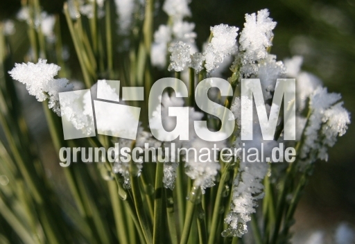 Winterimpressionen 015.jpg